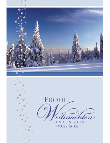 Doppelkarten Multipack. Weihnachten 5 Ex.