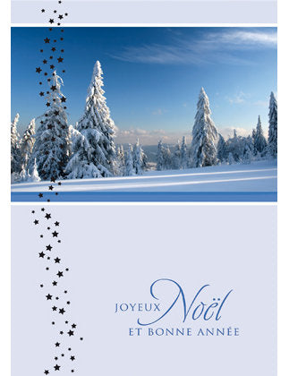 Cartes double multi-pack. Noël 5 Ex.
