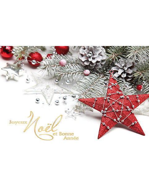 Cartes double multi-pack. Noël 88-0803 5 Ex.