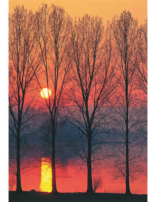 Postkarte Swiss Image hoch Sonnenuntergang ZH