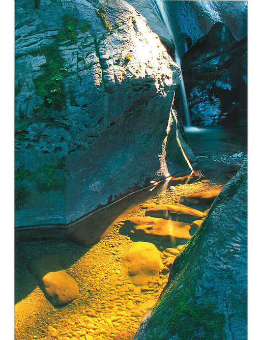 Postkarte Swiss Image hoch bei Mels SG