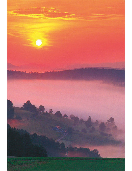 Postkarte Swiss Image hoch Neftenbach ZH