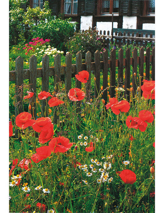 Postkarte Swiss Image hoch Gartenidylle