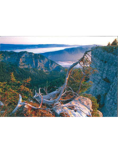 Postkarte Swiss Image hoch Creux-du-Van NE