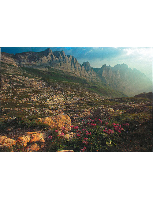 Postkarte Swiss Image hoch Alpstein