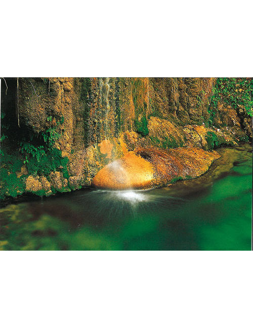Postkarte Swiss Image hoch