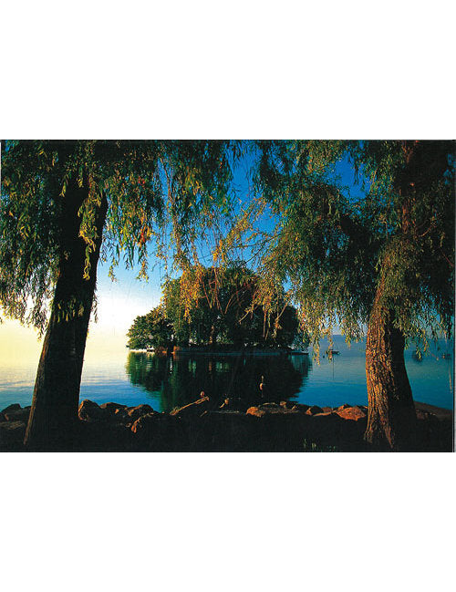 Postkarte Swiss Image hoch bei Rolle VD