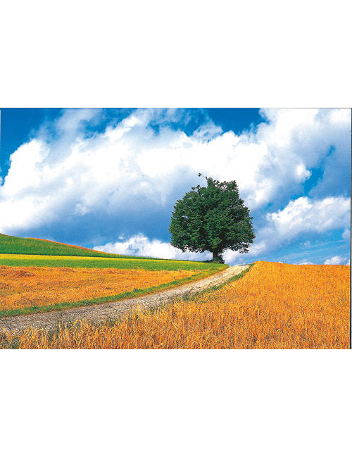 Postkarte Swiss Image hoch im Seeland BE