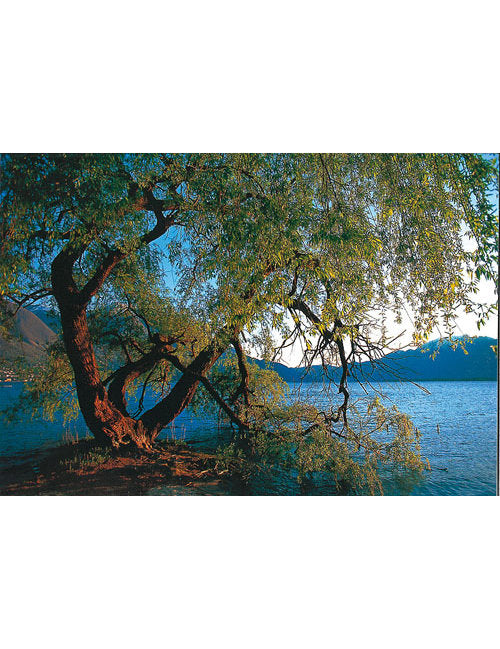 Postkarte Swiss Image hoch bei Tanno TI