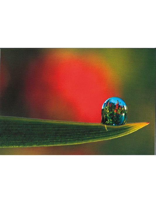 Postkarte Swiss Image hoch Wassertropfen