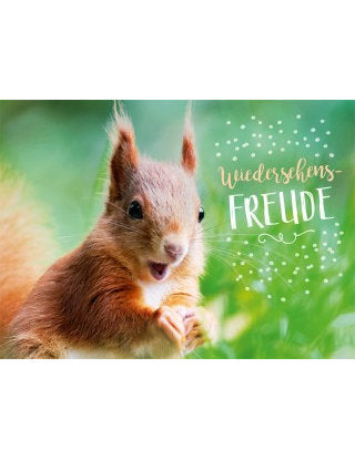 Postkarte. Lichtblicke / quer