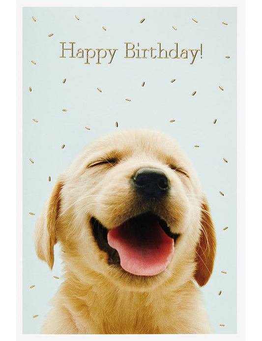 Doppelkarte. Plastikfrei. Happy Birthday