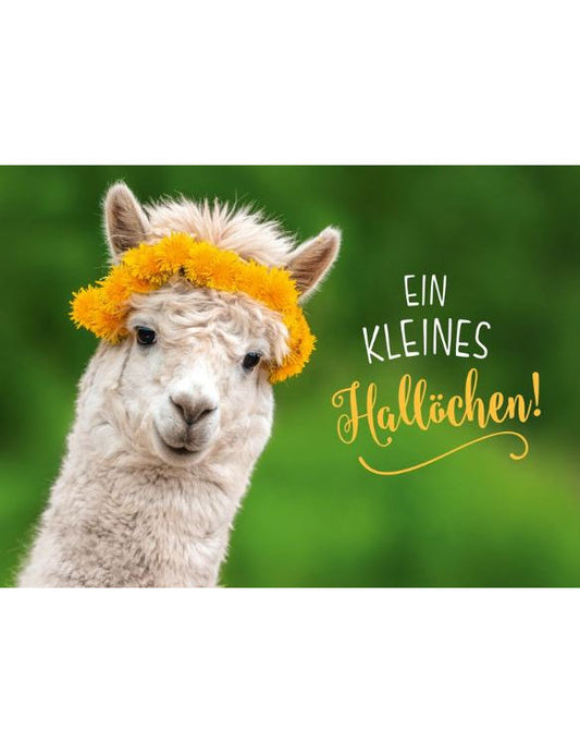 Postkarte. Lichtblicke / quer