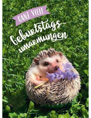 Postkarte. Lichtblicke hoch