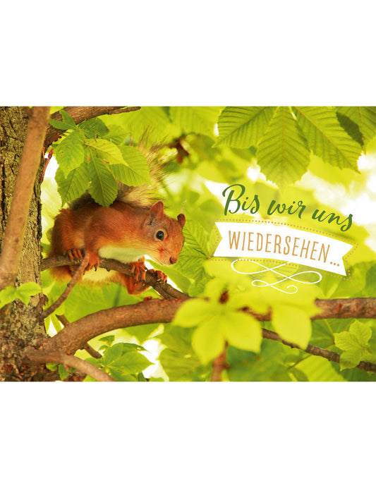 Postkarte. Lichtblicke / quer