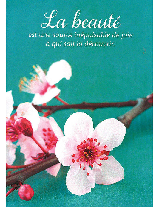 Carte Postale. Kultura