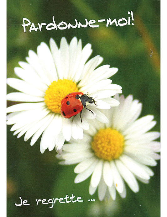Carte Postale. Kultura