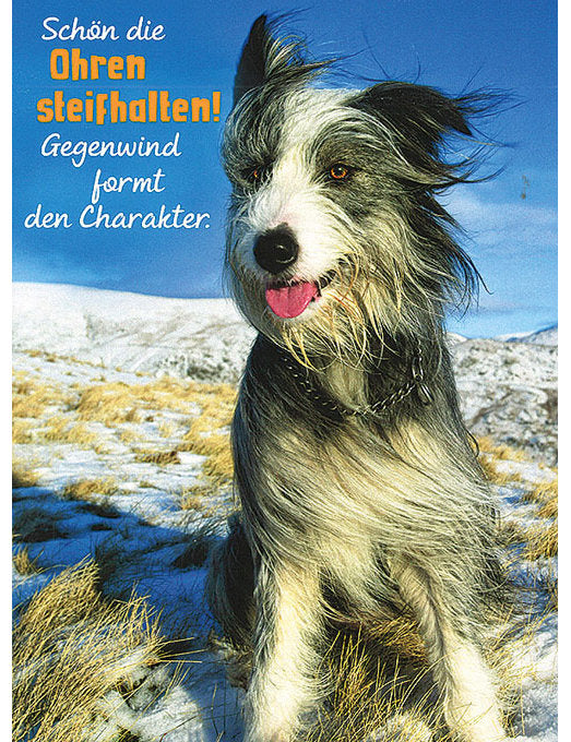 Postkarte. Kultura