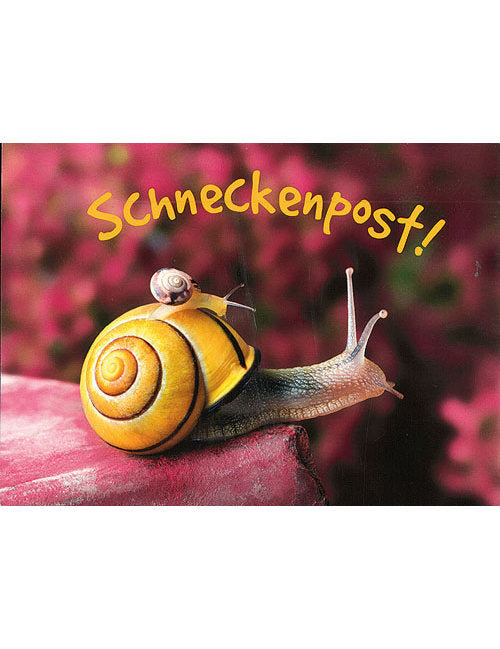Postkarte. Lichtblicke