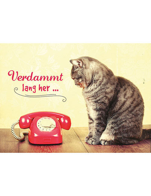 Postkarte. Lichtblicke