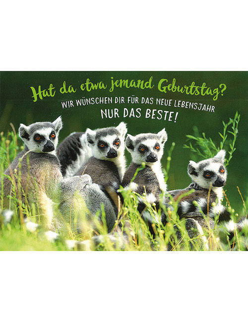 Postkarte. Lichtblicke