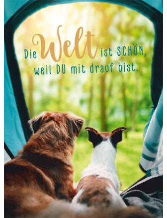 Postkarte. Lichtblicke / hoch