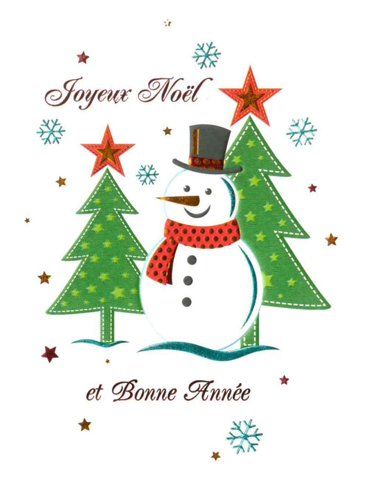 Carte double. Joyeux Noël et Bonne Année