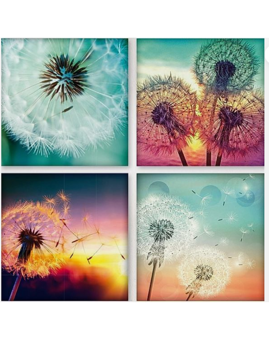 Diamond Painting  "Pusteblumen"je 25 x 25 cm, 4er-Set