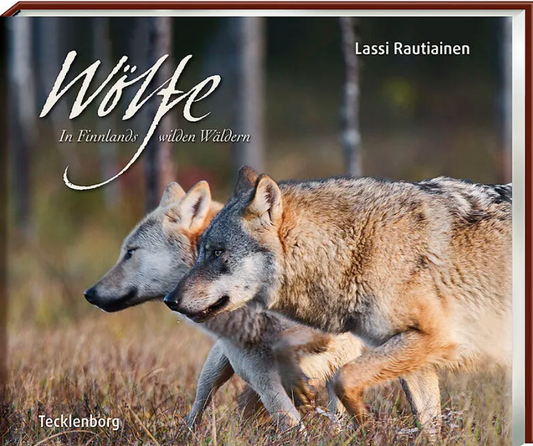Wölfe in Finnlands wilden Wäldern