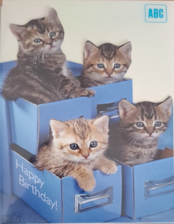 Happy Birthday(B6)