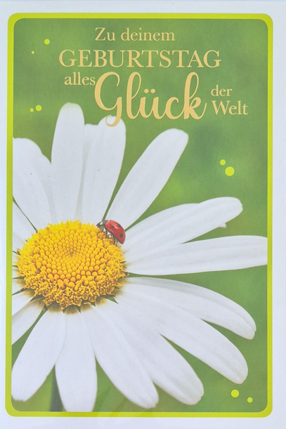 Die besten Wünsche zum Geburtstag (B6)