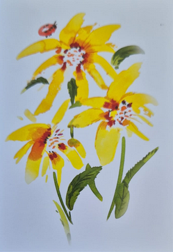 Blanko  ( 7 x 10 cm )