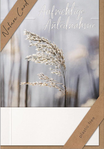 Aufrichtige Anteilnahme (B6)