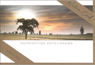 Aufrichtige Anteilnahme (B6)