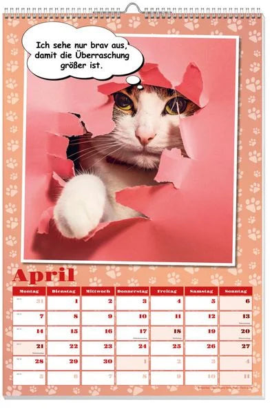 Coole Katzen Posterkalender 2025