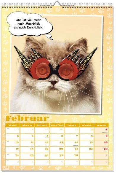 Coole Katzen Posterkalender 2025