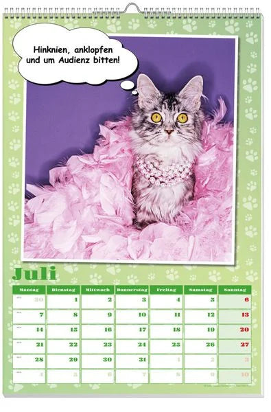 Coole Katzen Posterkalender 2025