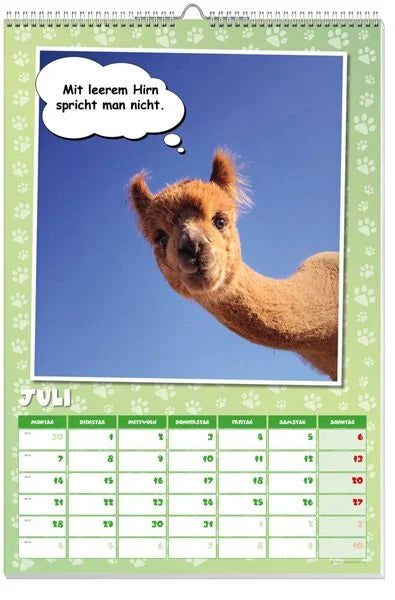 Coole Lamas Posterkalender 2025