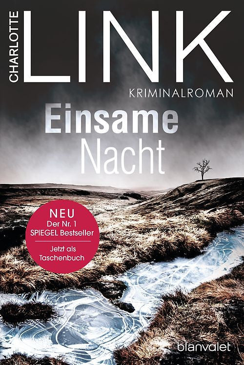 Einsame Nacht