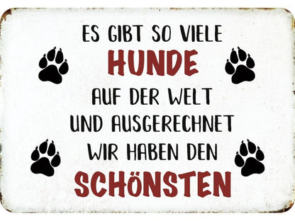 Blechschild "Es gibt so viele Hunde"