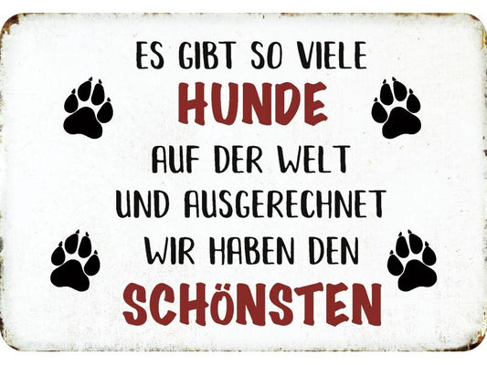 Blechschild "Es gibt so viele Hunde"