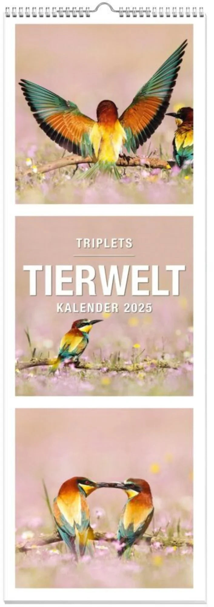 Tiere Triplets Panoramakalender 2025